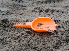 Ӫ�ڼ�ͥ����ָ��ʦ��ô��_������_��֤������ͼƬ/