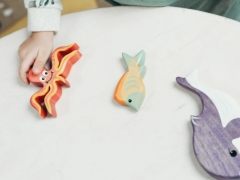 ���ݼ�ͥ����ָ��ʦ��ô��_������_��֤������ͼƬ/