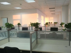 �����ͥ����ָ��ʦ��ô��_������_��֤������ͼƬ/