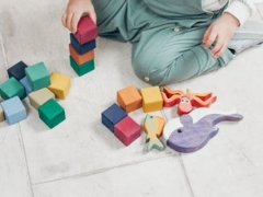 ������˹��ͥ����ָ��ʦ��ô��_������_��֤������ͼƬ/