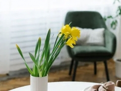 ��Ǩ��ͥ����ָ��ʦ��ô��_������_��֤������ͼƬ/