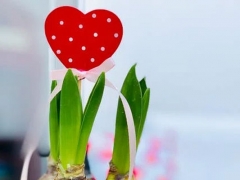 �˴���ͥ����ָ��ʦ��ô��_������_��֤������ͼƬ/