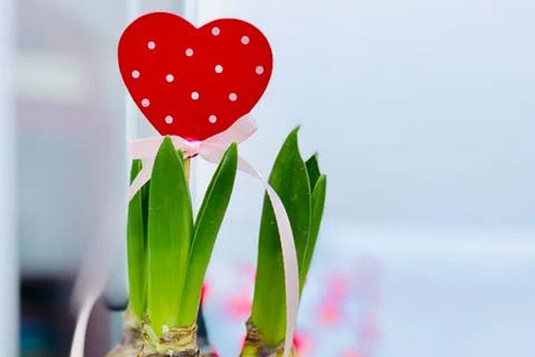 �˴���ͥ����ָ��ʦ��ô��_������_��֤������ͼƬ