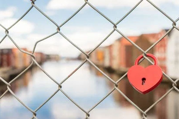 ������ͥ����ָ��ʦ��ô��_������_��֤������ͼƬ