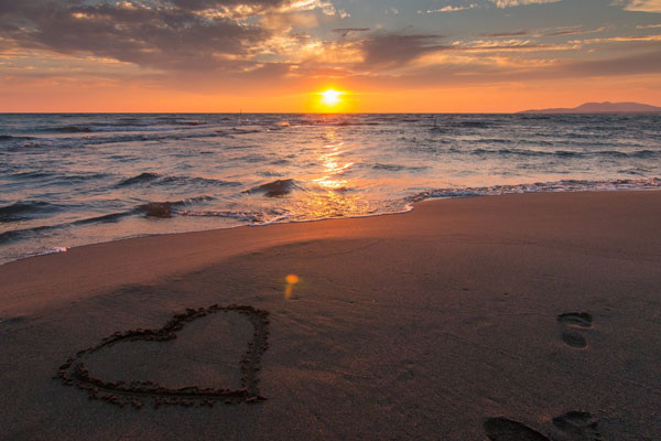 �����ͥ����ָ��ʦ��ô��_������_��֤������ͼƬ