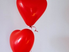 ���ݼ�ͥ����ָ��ʦ��ô��_������_��֤������ͼƬ/