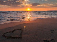 ���ּ�ͥ����ָ��ʦ��ô��_������_��֤������ͼƬ/