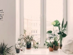 ������ͥ����ָ��ʦ��ô��_������_��֤������ͼƬ/