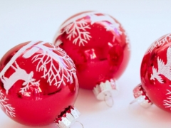 ���ּ�ͥ����ָ��ʦ��ô��_������_��֤������ͼƬ/