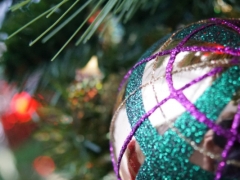 ��ݸ��ͥ����ָ��ʦ��ô��_������_��֤������ͼƬ/