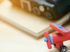 ��³ľ���ͥ����ָ��ʦ��ô��_������_��֤������ͼƬ/