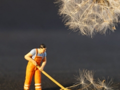 �½���ͥ����ָ��ʦ��ô��_������_��֤������ͼƬ/