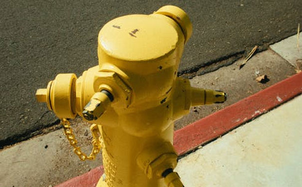 �㶫������ѵѧУ�ļҺ�_��ַ_�绰