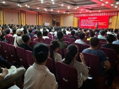 ����ִҵ��ҩʦ��ѵ����_�ṩ��������γ�/