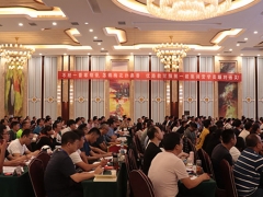 �̽�ִҵ��ҩʦ��ѵ����_�ṩ��������γ�/