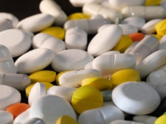 Ȫ��ִҵ��ҩʦ��ѵ����_�ṩ��������γ�/