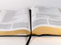 �������и�����ѵ���ĸ���_�շѼ۸����Ǯ-�����Ƽ�/