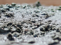 �е¶���������ѵ�����ĸ���_���۶���Ǯ/