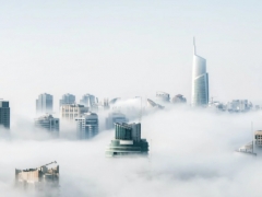 ��������������ѵ�����ĸ���_���۶���Ǯ/