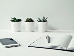 ���Ŷ���������ѵ�����ĸ���_���۶���Ǯ/