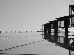 ��������������ѵ�����ĸ���_���۶���Ǯ/