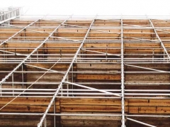 ¤�϶���������ѵ�����ĸ���_���۶���Ǯ/