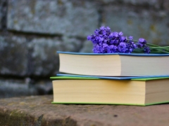 �������Ŀ�����ô�����շѱ�׼����Ǯ��/