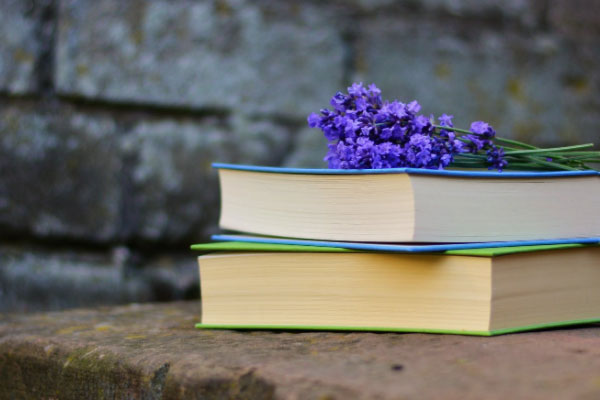 �������Ŀ�����ô�����շѱ�׼����Ǯ��