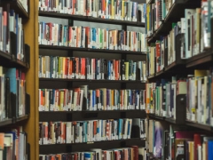 �ߺ����Ŀ�����ô�����շѱ�׼����Ǯ��/