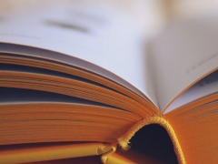 ��˳���Ŀ�����ô�����շѱ�׼����Ǯ��/