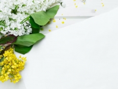 ֣�ݺ��Ŀ�����ô�����շѱ�׼����Ǯ��/