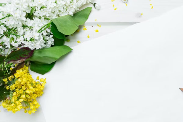 郑州海文考研怎么样?收费标准多少钱?