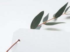 �������Ŀ�����ô�����շѱ�׼����Ǯ��/