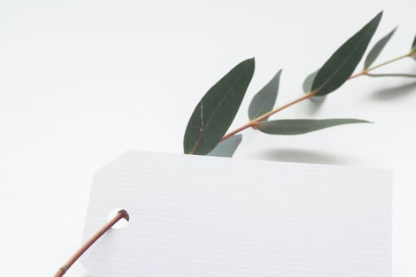 �������Ŀ�����ô�����շѱ�׼����Ǯ��