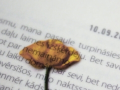 �������и�����۸��Ŀ��/