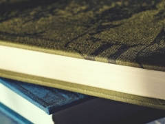 �������и�����۸��Ŀ��/