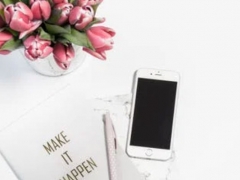 ���ɹſ��и�����۸��Ŀ��/