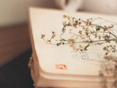 �����й����б���۸��_�շѱ�׼����Ǯ/