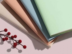 ����������ѵ��������ǰʮ/