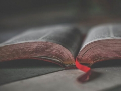 ֣�ݿ�����ѵ��������ǰʮ/