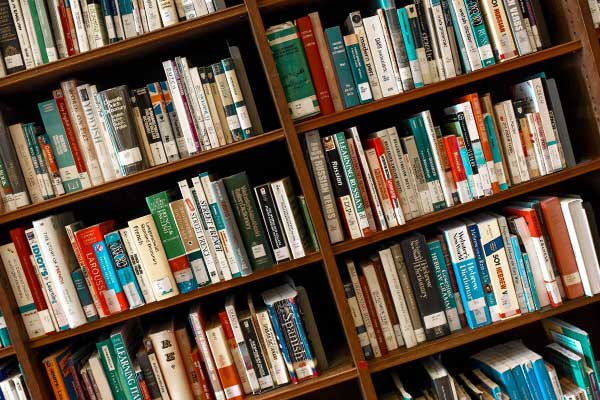 ����������ѵ�����ĸ���