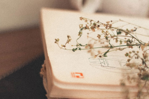  ������������ѵ�۸�