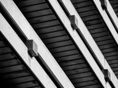 �ߺ��м���ȫ����ʦ��ѵ���ö���Ǯ/