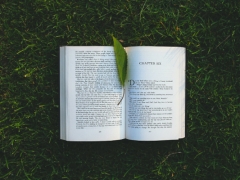 Ϋ��������ѵ���ַ/