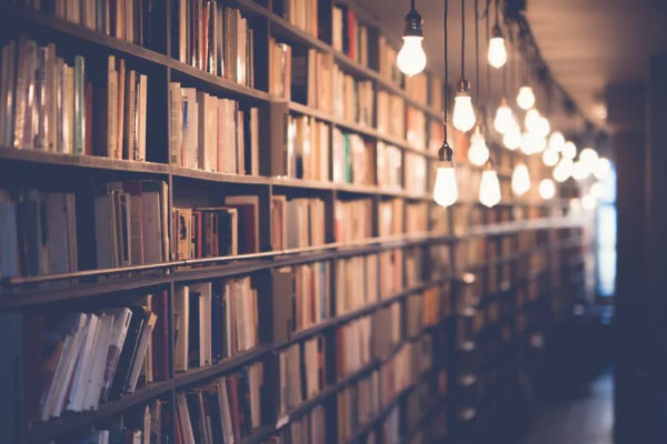 �Ͳ�������ѵ��������