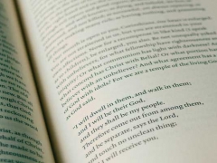 ���쿼����ѵ�����ĸ���/