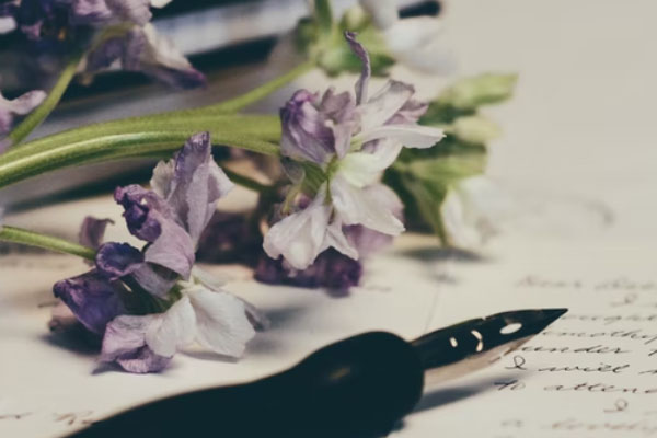 ���Ŀ�����ٰ���ô��