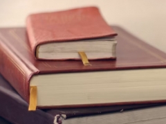 ���Ŀ�����ټ���ѵ��Ӫ��ô��/