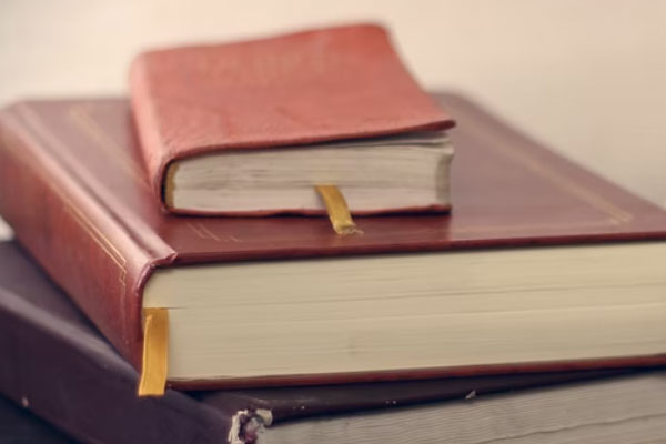 ���Ŀ�����ټ���ѵ��Ӫ��ô��