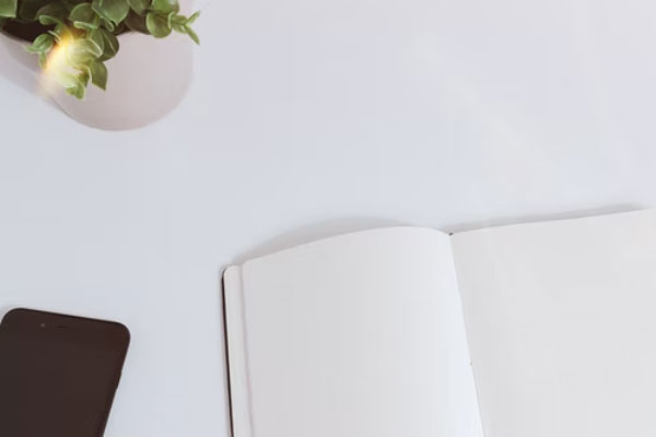 ���Ŀ�����ټ�ѵӪ������